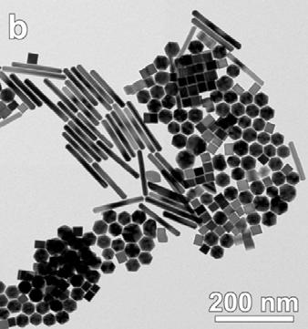 (a) TEM micrograph of the Pt icosahedra mixed with cubes and twinned rods.