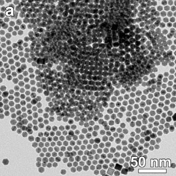 Figure S5. (a) TEM image of icosahedra with edge length of ~5.5 nm.