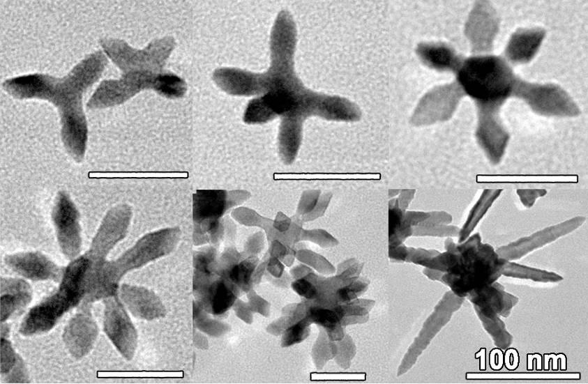 TEM micrograph of various other branched nanostructures. Unmarked scale bar: 20 nm.
