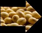 ) 37,000 t for export Import Soybean meal + full fat demand 542 000 tonnes Own