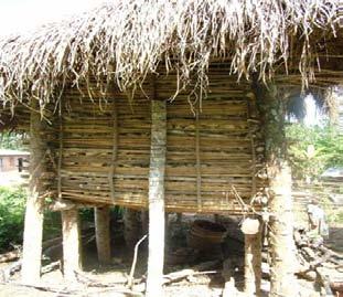 Fig 17. Maize storage using grass-thatched crib in Mubende district Fig 18.