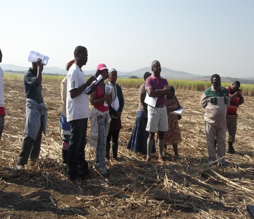 Farmer and farm worker development at SASA Convene 4 land reform workshops a year in