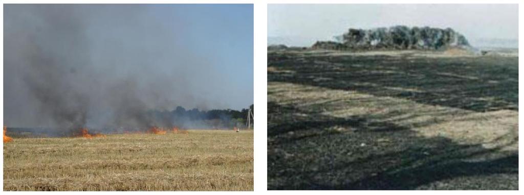 the field (Fig. 3.9, 3.10). The most reliable option is when the owner of a straw fired boiler provides it with his own feedstock that is with bales made of surplus straw. Fig. 3.9. Production and use of straw in Ukraine [3] Fig.