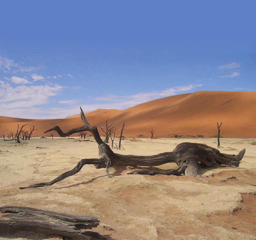 Facts on Desertification A Summary of the Millennium Ecosystem Assessment Desertification Synthesis DESERTIFICATION is the persistent degradation of dryland ecosystems.