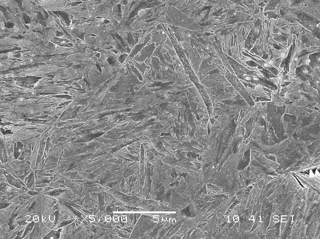 1476 Fig. 8. Microstructure of the sample SA 860 Q (Soft annealing / from 860 C), 679 HV10 Fig. 9.