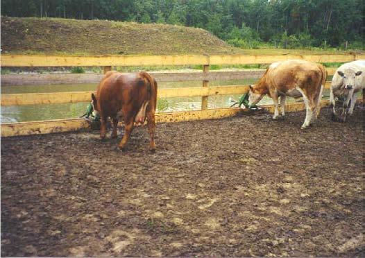 What You Can Do Adopt best management practices for manure handling.