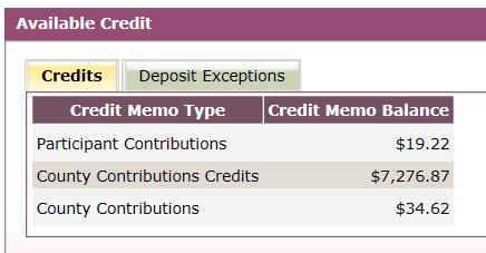 The total of all of the fields should equal the amount of the deposit. Click the Save button. Fix any errors and click the Save button again.