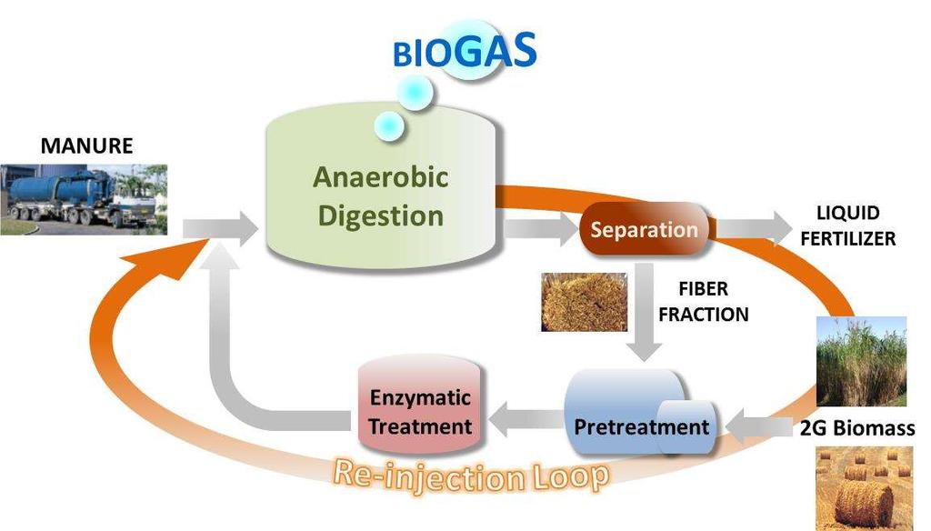 Further optimization of the concept The Re-injection loop (EU project BIOMAN) Digested manure