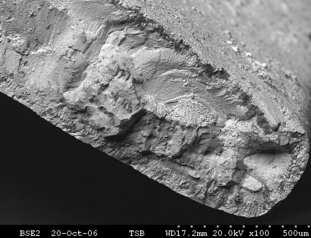 Fig. 3: SEM of the fracture surface