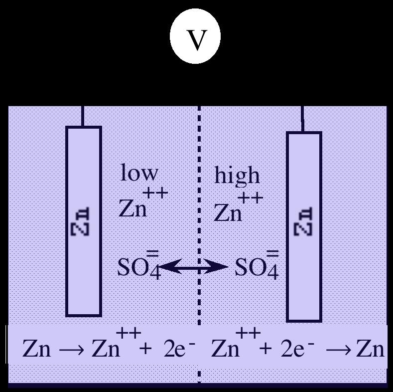 Concentration Cell Zn Zn ++ + 2e - φ Zn = φ 0 Zn + RT 2F ln[zn ++ ] Δφ = RT
