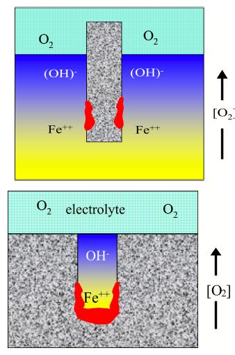 Oxygen Concentration Cells Cathode: 2e - + 1/2O 2 + H 2 O 2OH - φ = ϕº+ RT nf ln [ O 2] 1/ 2 [ OH ] 2 Water immersion [O 2 ] decreases with depth Cathode at