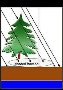 NoahMP Column Physics: Noah-MP contains several options for land surface processes: 1. Dynamic vegetation/vegetation coverage (4 options) 2. Canopy stomatal resistance (2 options) 3.