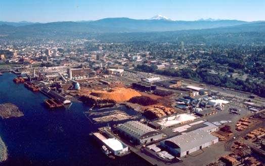 March 19, 1945 The Luck of Bellingham Sulfite pulp mill produces ethanol for World War II and 55 years more Photo: Center for Pacific Northwest Studies, Western Washington University Hard-drinking U.