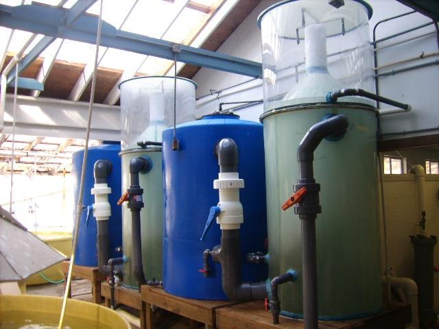 SEAWATER TREATMENT SYSTEM BASED ON MBP S SYSTEM WAS INSTALLED IN THE