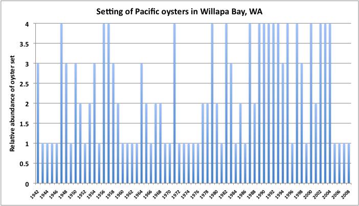 NO NATURAL SET OF PACIFIC OYSTERS IN WILLAPA BAY, WA, IN LAST 5 YEARS
