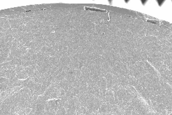 1 mm 100 µm Figure 3.9.