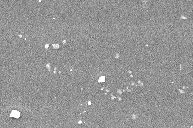 10 µm Figure 3.16. SEM photomicrograph of the glaze surface of Glaze D, oncedipped, on the alumina body.