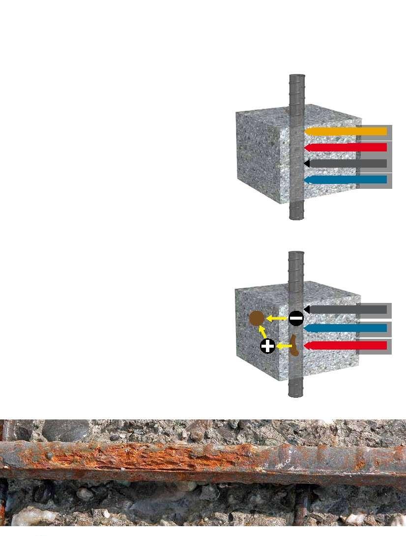 Corrosion in Reinforced Concrete Structures Aggressive Influences on Reinforced Concrete In reinforced concrete the steel is normally protected against corrosion by the passivating alkalinity of the