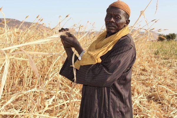 World Bank Scoping missions to Mali and Mauritania to assess in-country situation Preliminary findings from the missions Mauritania Rainfall is below average and un-evenly distributed Crop production