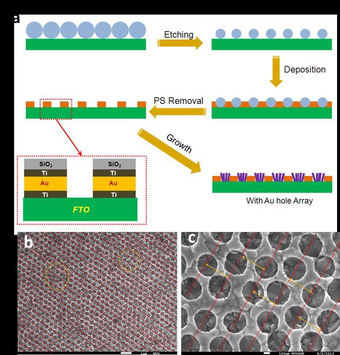 Supplementary Figure S1. Scheme for the fabrication of Au nanohole array pattern and the growth of hematite nanorods on the Au nanohole array substrate.