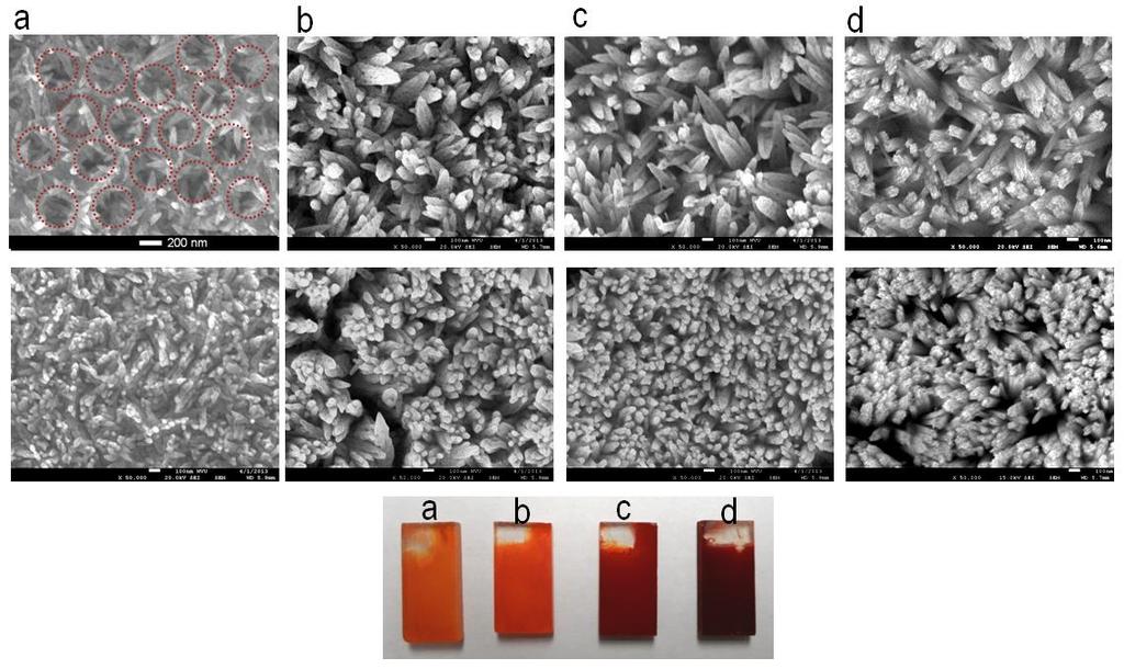 Supplementary Figure S2. SEM images of different-length hematite nanorod array.