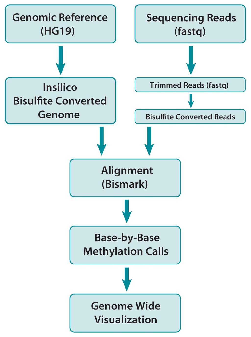 Agenda - Analysis: Bioinformatics Workflow Bioinformatics Analysis STEP 2 Generation of bisulfite converted genome STEP 1 Quality Control STEP 3