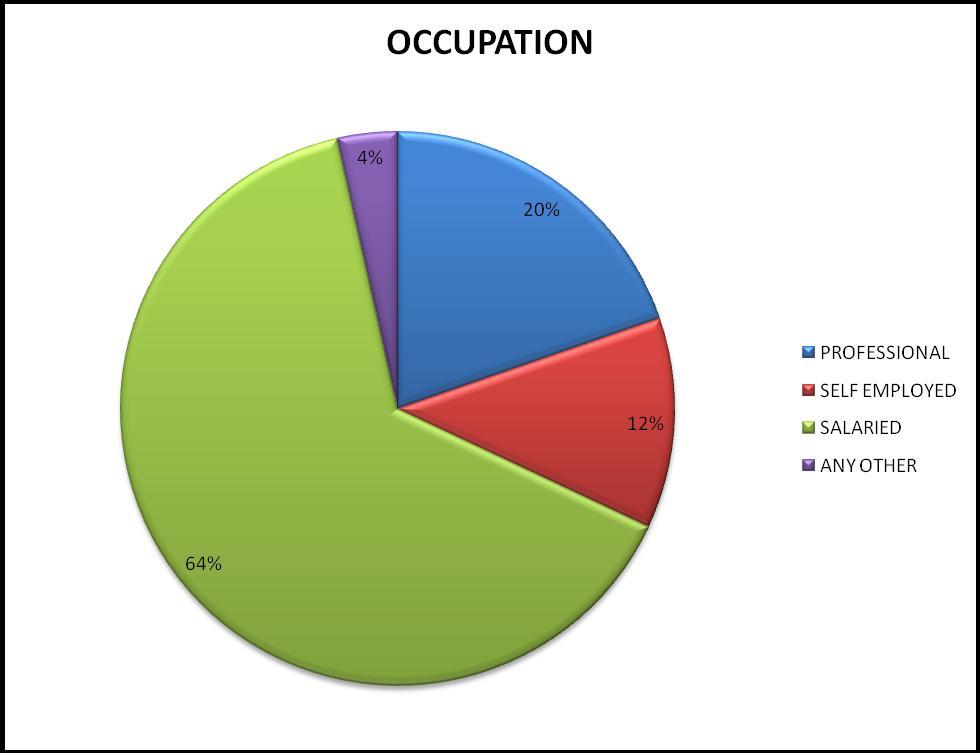 Figure 3.3 The occupation of the customers was noted down as socio-demographic parameters.