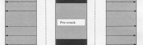 10 Theoretical propability of pre-crack propagation due to firing effects.