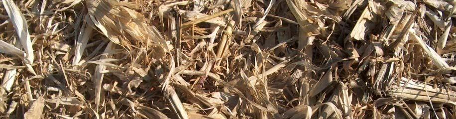 Of these residue crops, corn stover has the greatest potential for