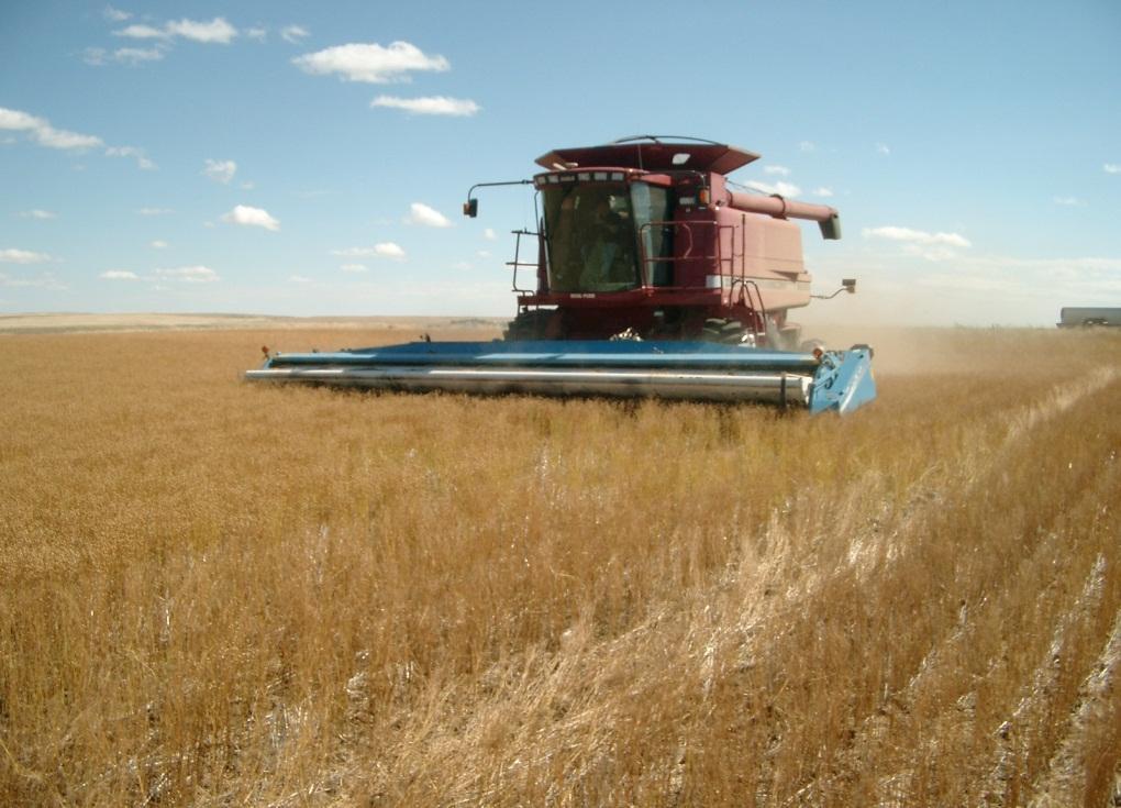 Flax Value Equation: Shelbourne Header a) Grain: Potential gain in grain yield; b) Improvement in opportunity cost due to higher field rates and improved harvest window (flax harvest August 8 14); c)