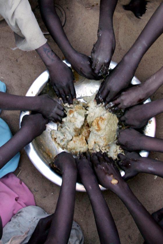 World Hunger Poverty is the biggest reason for undernourishment.
