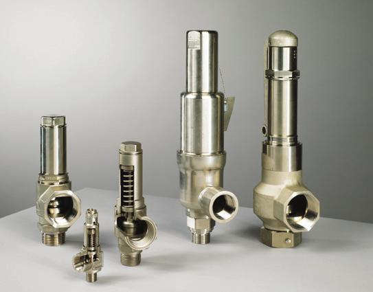4 cryogenic ESD globe valves 1 to 4 cryogenic control globe valves 1/2 to 6 safety valves FEATURED PRODUCTS Globe Valves This