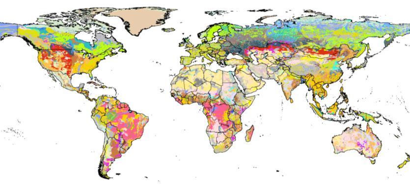 MITERRA-Global A model for integrated assessment of N (C and P) emissions from agriculture, based on MITERRA-Europe Global coverage At country and province
