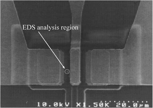 Based on the SEM image, a local defect at the junction region was found. In order to identify the elements of the local defect, EDS was performed around the defect region.