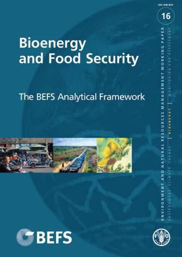 description of BEFS Analytical Framework Description of activities in