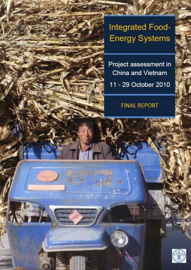 on IFES systems in China and Vietnam