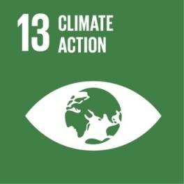 Take urgent action to combat climate change and its impacts Targets Strengthen resilience and adaptive capacity to climate-related hazards and natural disasters in all countries Integrate climate