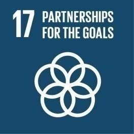 Revitalize the global partnership for sustainable development Targets Capacity building Enhance international support for implementing effective and targeted