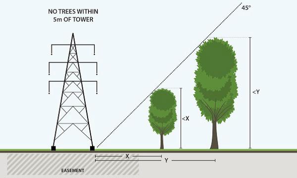 Performance outcomes PO8 Vegetation does not pose a risk to the safety or reliability of electrical infrastructure. Acceptable outcomes AO8.