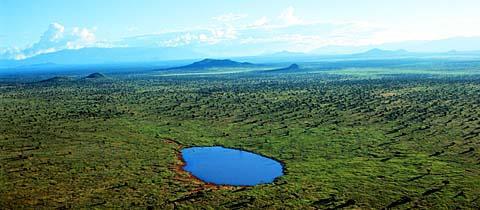 Estimates are that the Mkomazi Game Reserve in Tanzania will lose 17 of