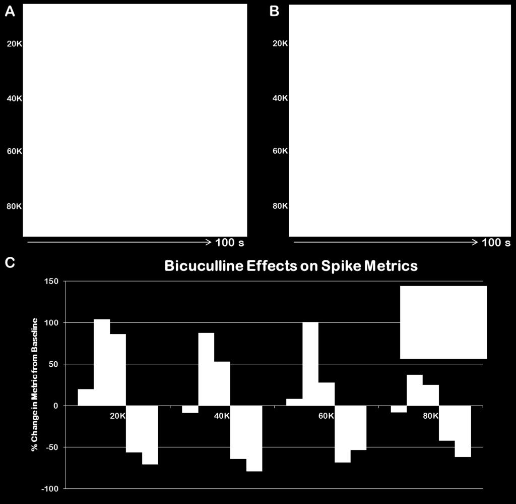 The data displayed in Figure 4 demonstrates the response of the motor neurons to bicuculline with associated neural spike metrics applied across cell densities.