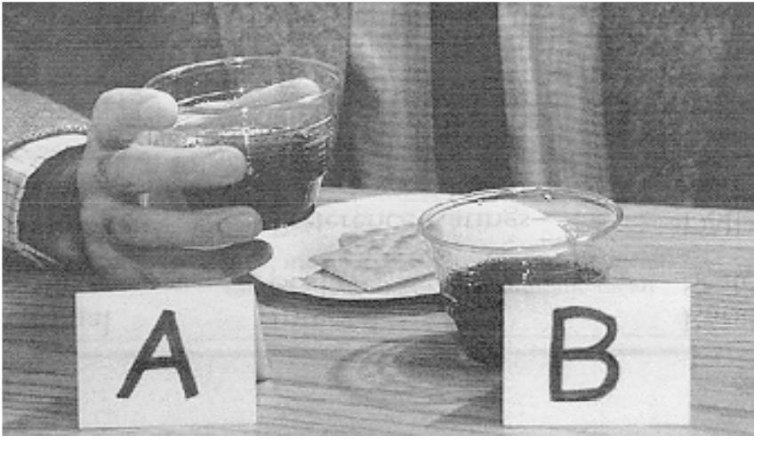 Paired Comparison Blind Tests The most common method of taste testing is paired comparison. The consumer is asked to sample two different products and select the one with the most appealing taste.
