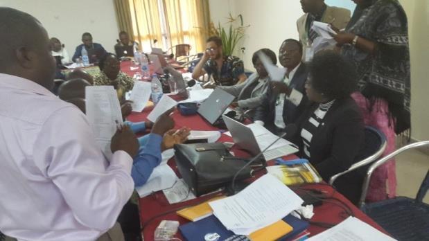 Cameroon) Remote consultations: 67 completed