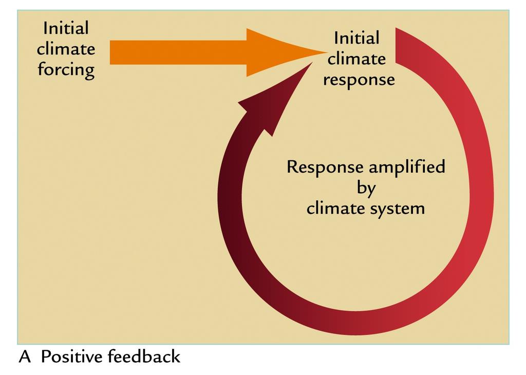 Feedbacks in the Climate System Interactions can produce positive feedback Positive feedbacks produce