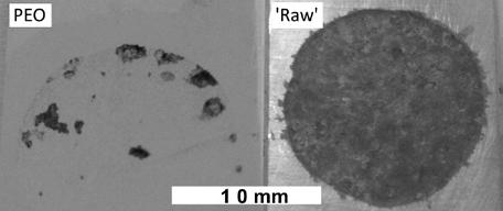 Figure 2. The surfaces of a 'raw' not oxidized sample (right) and of a PEO treated sample (left) after some days of immersion into 3% NaCl.