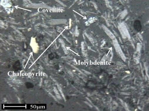 As it can be observed, chalcopyrite and pyrite can be distinguished in the molybdenite cons. as unwanted minerals.
