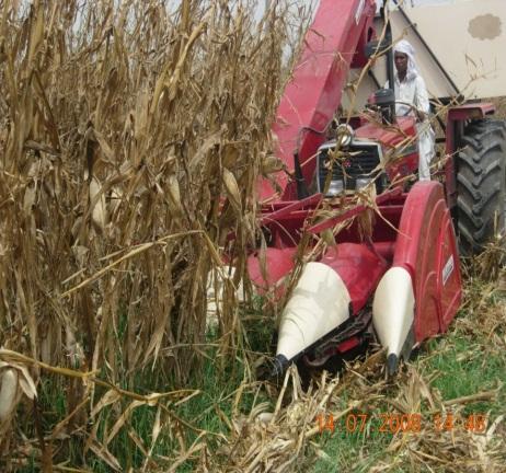 Corn Picker Normally corn is harvested with a self-propelled combine harvester equipped with maize header.