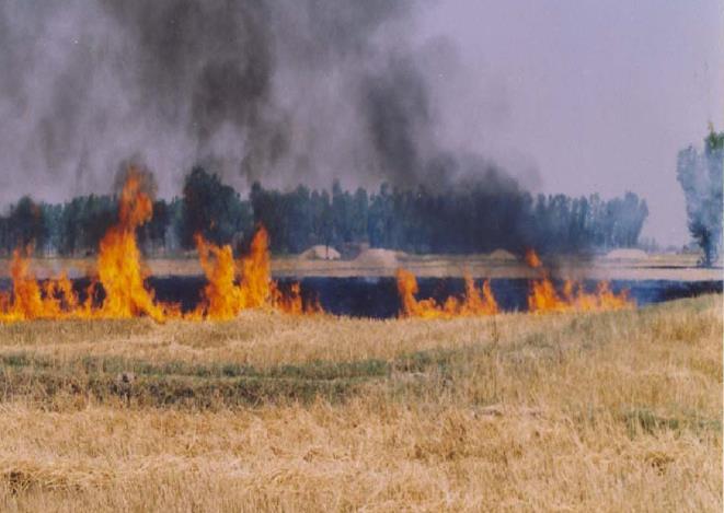 burning & related field hazards Environmental