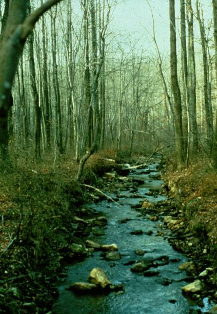 In watersheds with less than 5% impervious cover, streams are typically stable and pristine, maintaining good pool and riffle