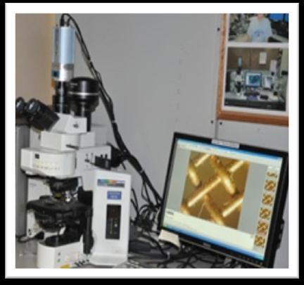 a b Fig. 3.1: (a) Optical Microscope (b) Scanning Electron Microscope 3.4.